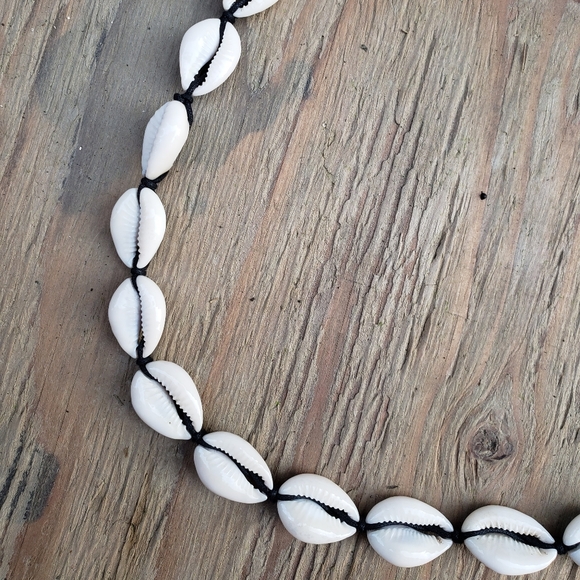 Vintage African Cowry Shell Money Belt From the Republic of the Congo - Picture 6 of 6